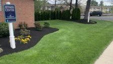 Image for Turf Treatment by Saylors Lawn and Landscaping